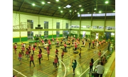 FESTIVAL DE GINÁSTICA